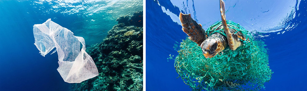 海洋生物塑膠為害